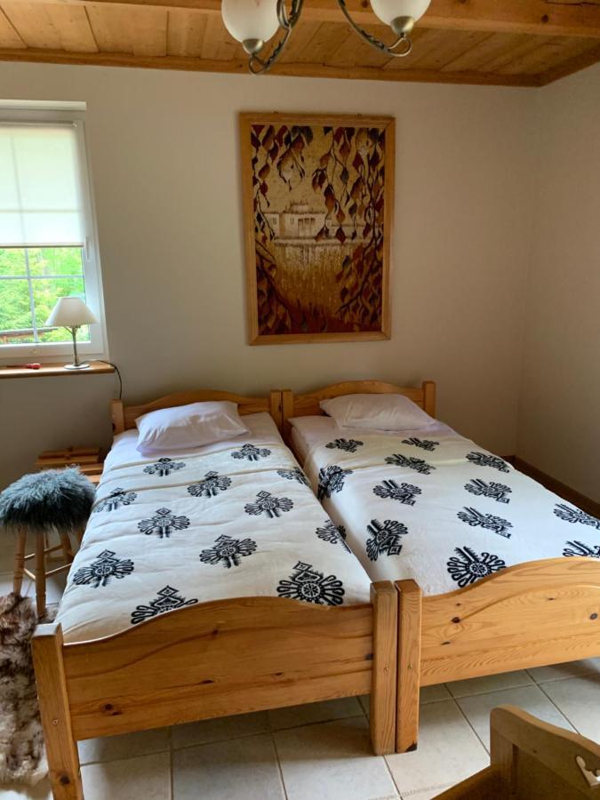 Apartamenty Nad Potokiem Zakopane Kültér fotó