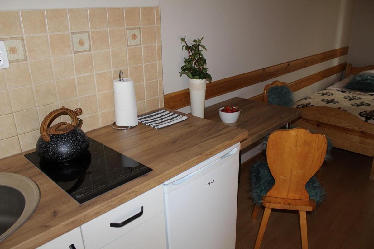 Apartamenty Nad Potokiem Zakopane Kültér fotó