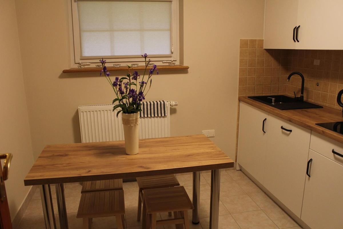 Apartamenty Nad Potokiem Zakopane Kültér fotó